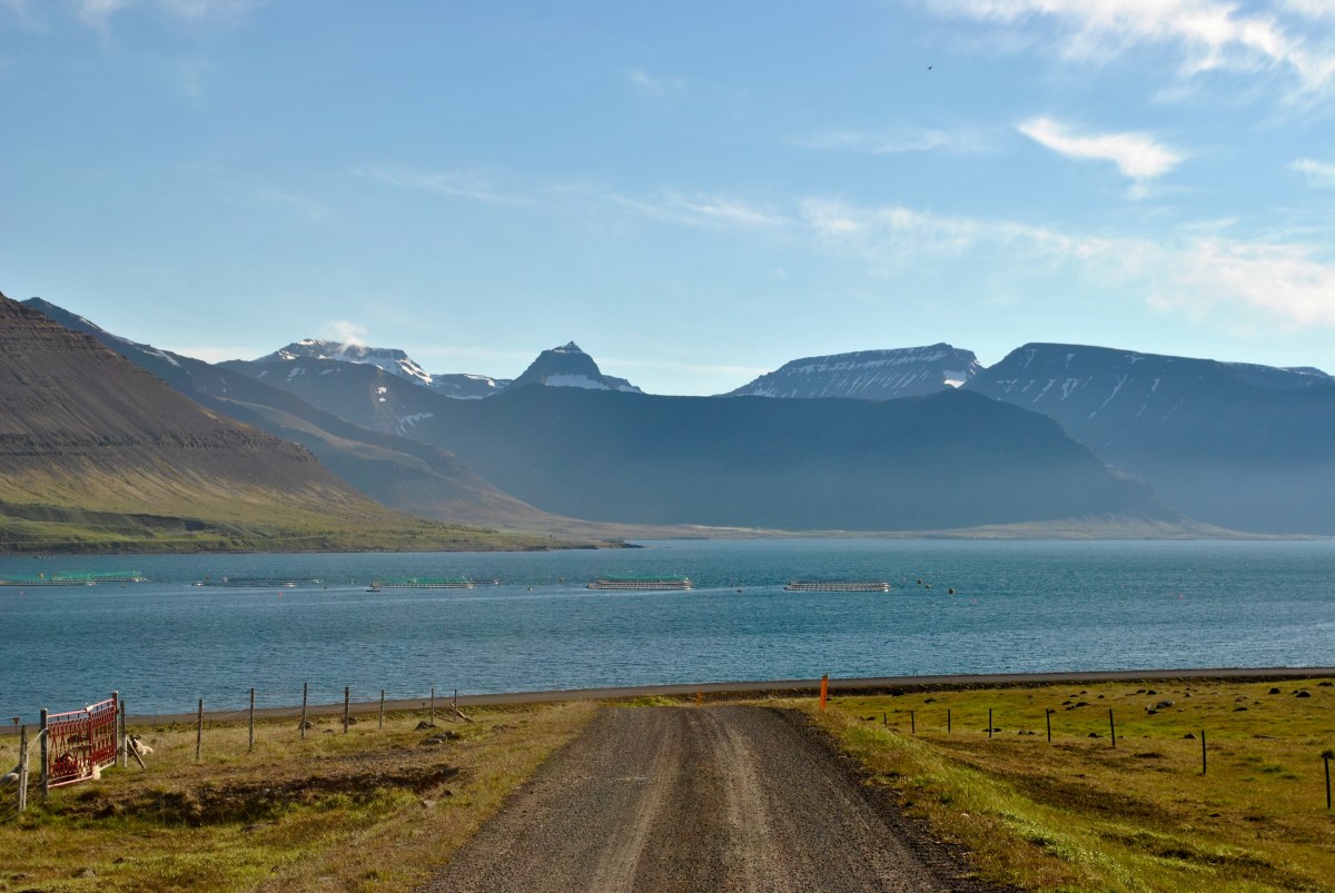 83A3E0AE-3233-4072-83E7-88CAC8CF5766