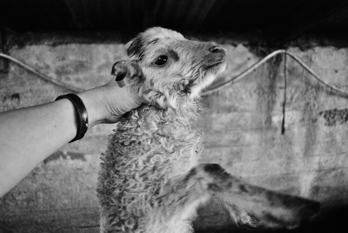 Processed with VSCO with b5 preset