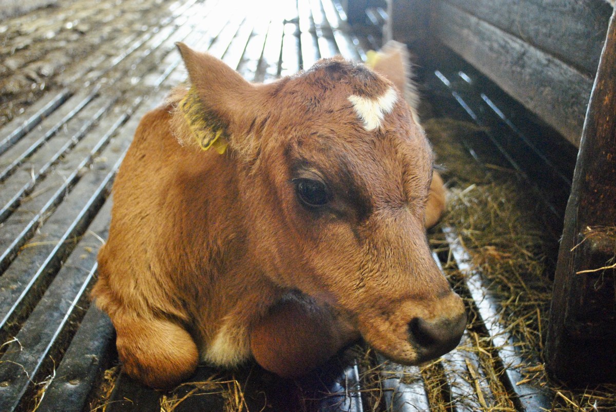 71A6B966-FAF9-43B9-AC20-B0053A53B16C