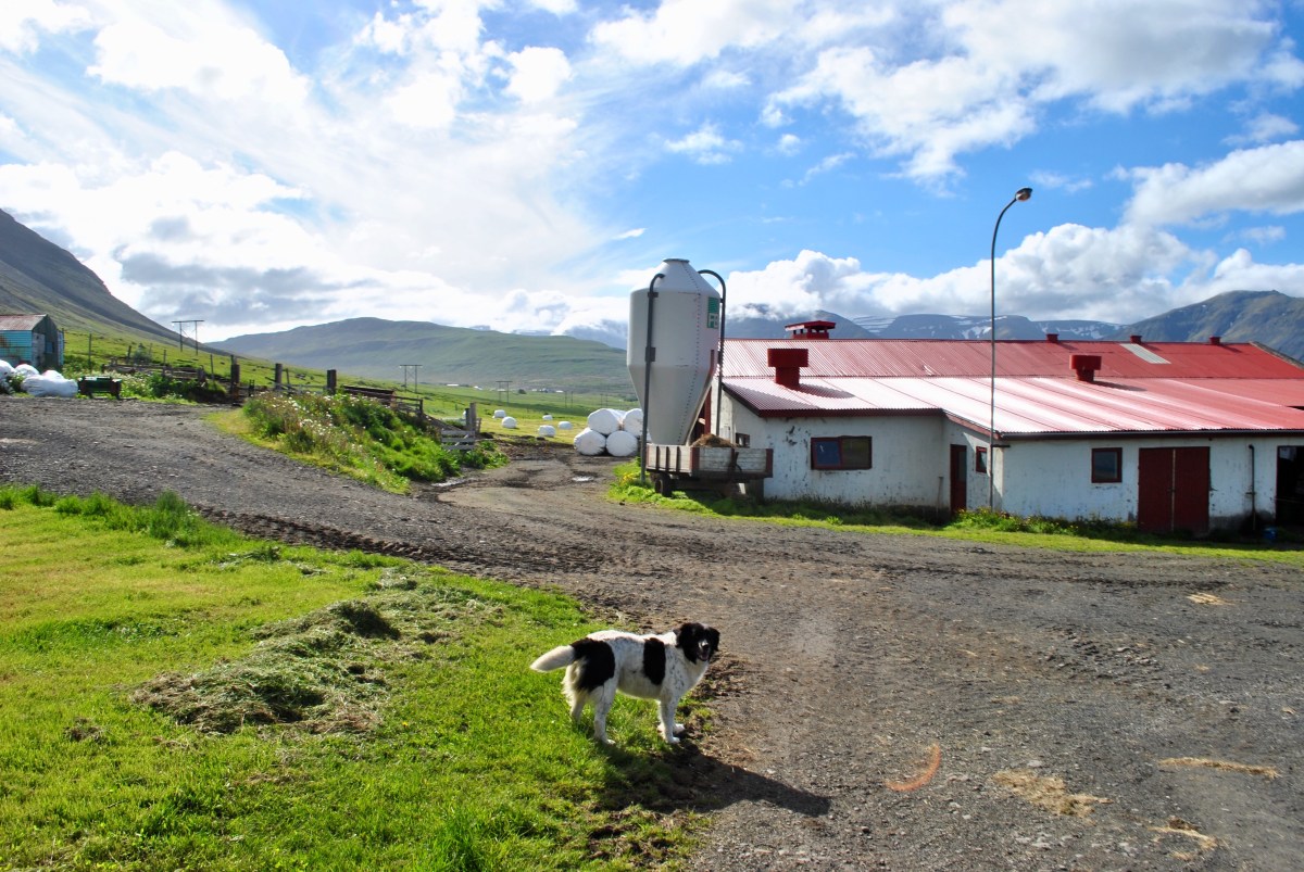 85193EBE-C462-4DBD-835E-DDE3263B5737