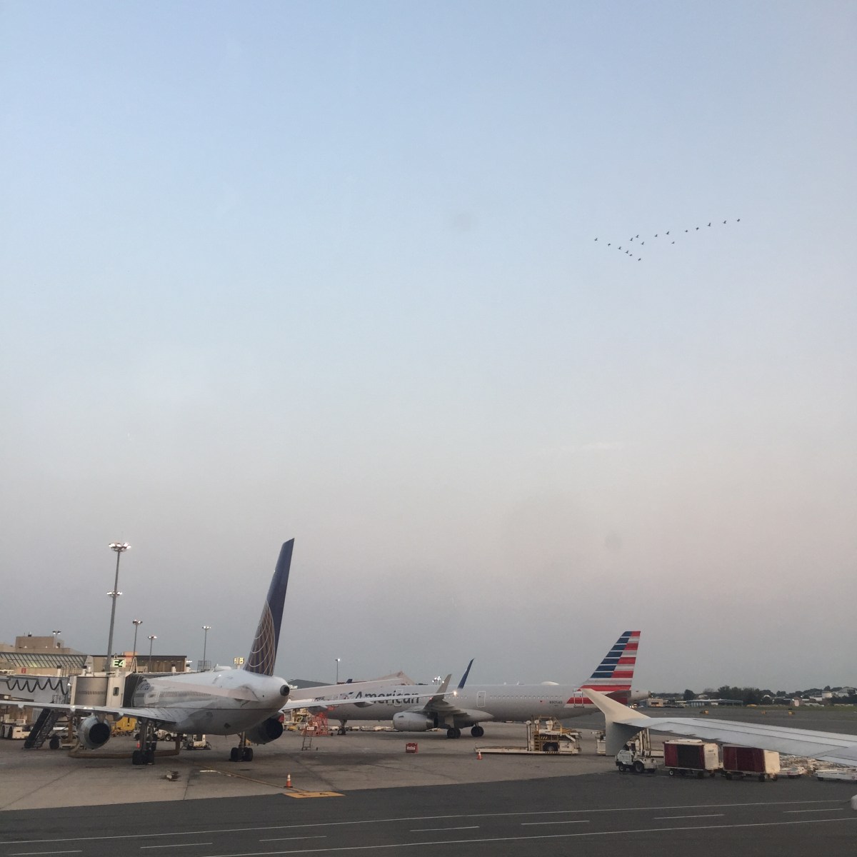 18F261E9-9E4F-4D1E-BA6E-1D4CBF32BEA8